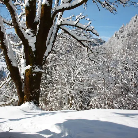 Hotel La Case Abondance