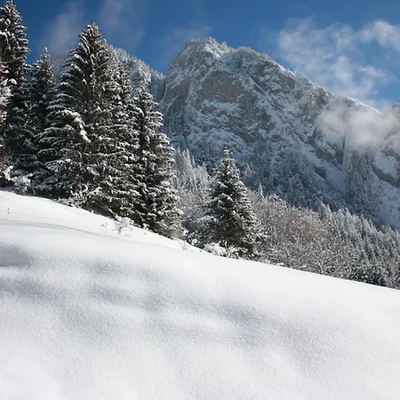 La Case אבונדאנס